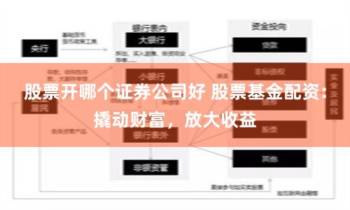 股票开哪个证券公司好 股票基金配资：撬动财富，放大收益