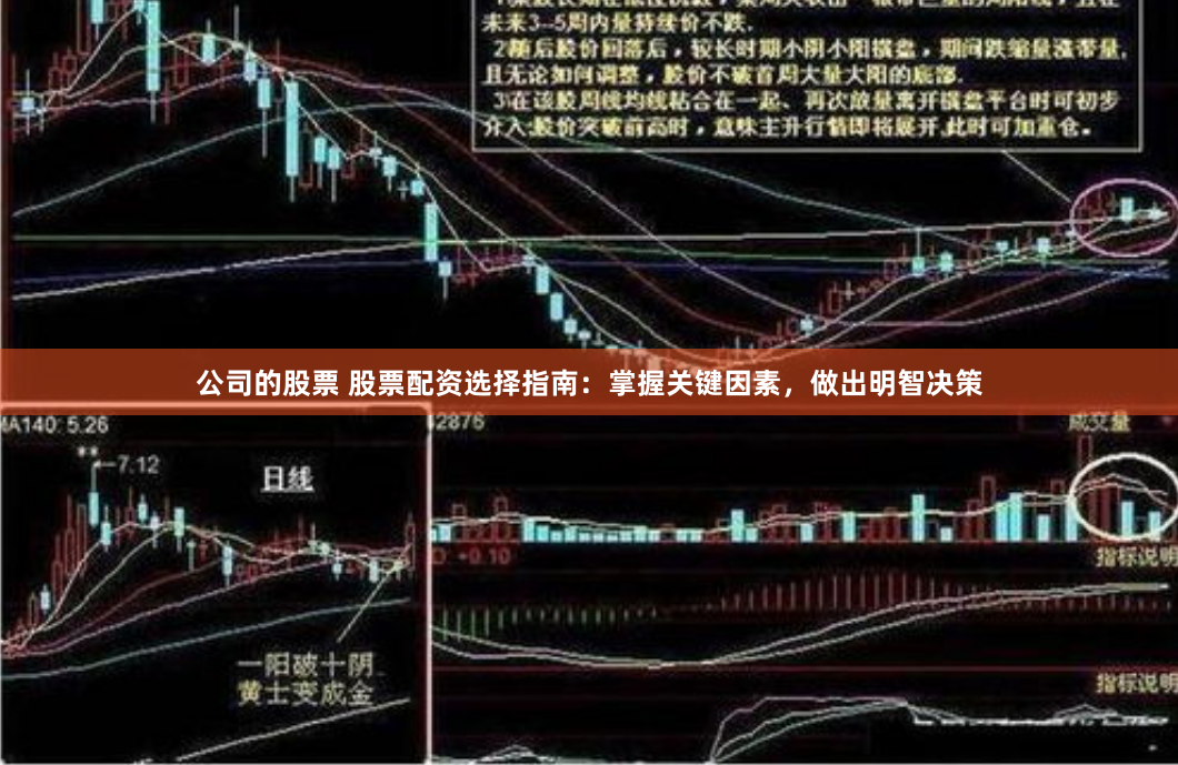 公司的股票 股票配资选择指南：掌握关键因素，做出明智决策