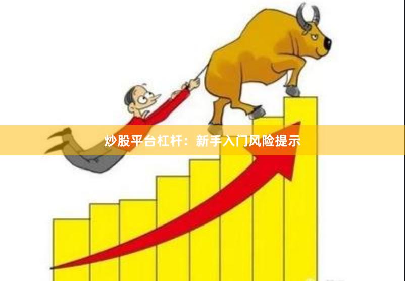 炒股平台杠杆：新手入门风险提示